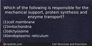 Which Of The Following Is Responsible For The Mechanical Support Biology Question