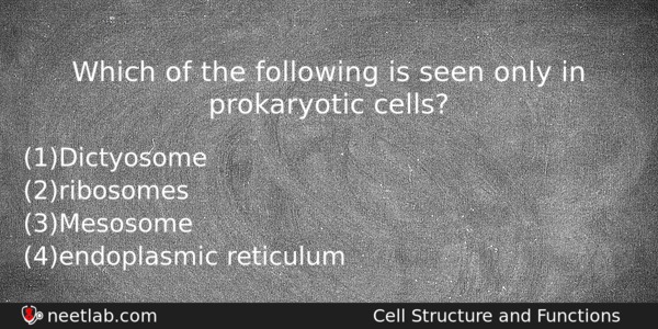 Which Of The Following Is Seen Only In Prokaryotic Cells Biology Question 