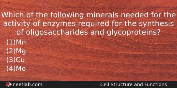 Which Of The Following Minerals Needed For The Activity Of Biology Question 