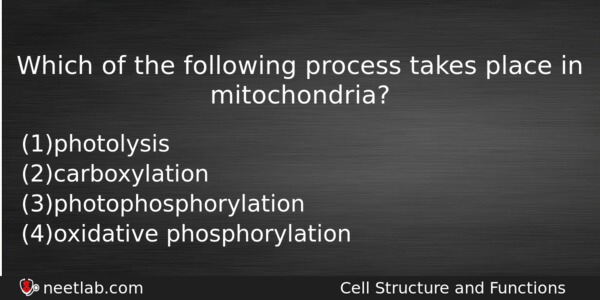 Which Of The Following Process Takes Place In Mitochondria Biology Question 