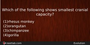 Which Of The Following Shows Smallest Cranial Capacity Biology Question