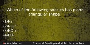 Which Of The Following Species Has Plane Triangular Shape Chemistry Question