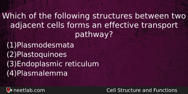 Which Of The Following Structures Between Two Adjacent Cells Forms Biology Question 