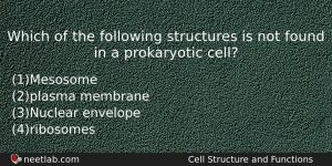 Which Of The Following Structures Is Not Found In A Biology Question