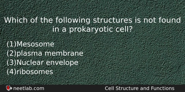 Which Of The Following Structures Is Not Found In A Biology Question 