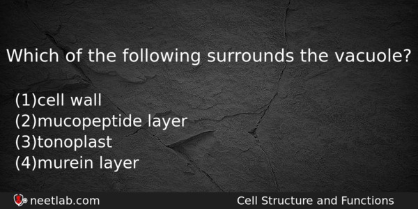 Which Of The Following Surrounds The Vacuole Biology Question 