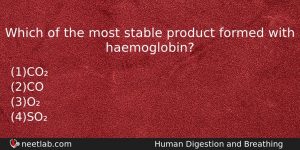 Which Of The Most Stable Product Formed With Haemoglobin Biology Question