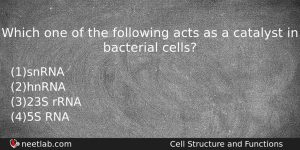Which One Of The Following Acts As A Catalyst In Biology Question
