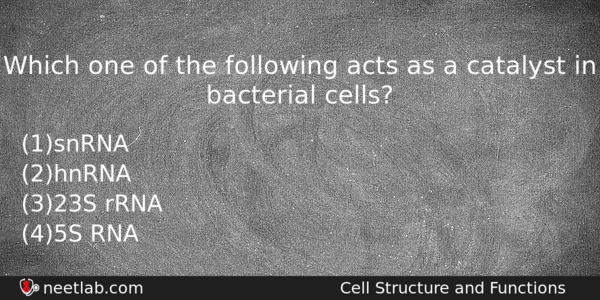 Which One Of The Following Acts As A Catalyst In Biology Question 