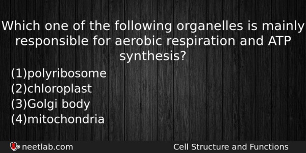 Which One Of The Following Organelles Is Mainly Responsible For Biology Question 