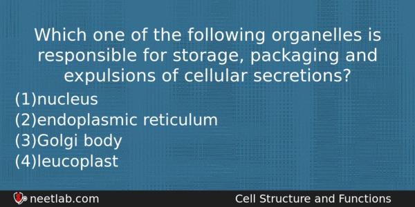 Which One Of The Following Organelles Is Responsible For Storage Biology Question 