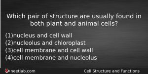 Which Pair Of Structure Are Usually Found In Both Plant Biology Question
