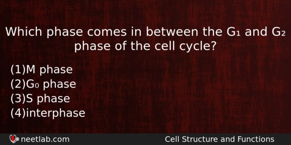 Which Phase Comes In Between The G And G Phase Biology Question 