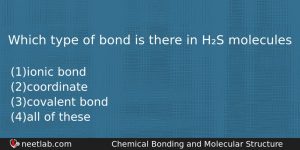 Which Type Of Bond Is There In Hs Molecules Chemistry Question