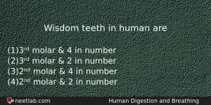 Wisdom Teeth In Human Are Biology Question
