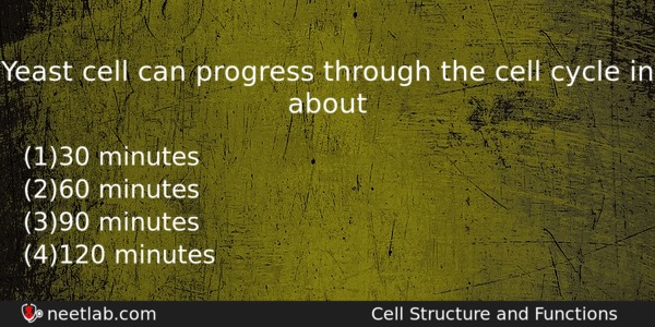 Yeast Cell Can Progress Through The Cell Cycle In About Biology Question 