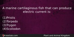 A Marine Cartilaginous Fish That Can Produce Electric Current Is Biology Question