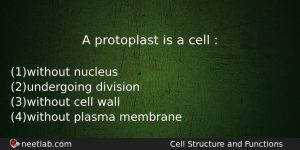 A Protoplast Is A Cell Biology Question