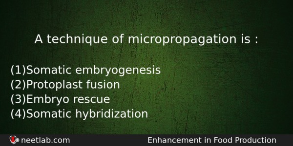 A Technique Of Micropropagation Is Biology Question 
