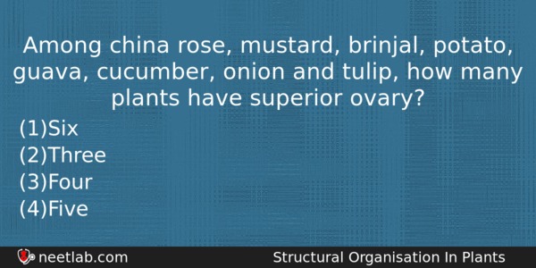 Among China Rose Mustard Brinjal Potato Guava Cucumber Onion And Biology Question 