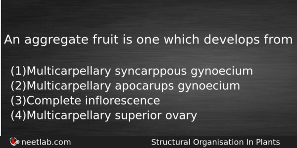 An Aggregate Fruit Is One Which Develops From Biology Question 