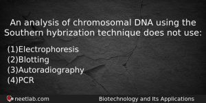 An Analysis Of Chromosomal Dna Using The Southern Hybrization Technique Biology Question