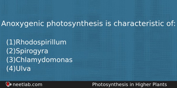 Anoxygenic Photosynthesis Is Characteristic Of Biology Question 