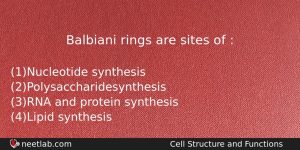 Balbiani Rings Are Sites Of Biology Question