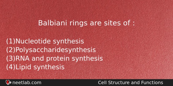 Balbiani Rings Are Sites Of Biology Question 