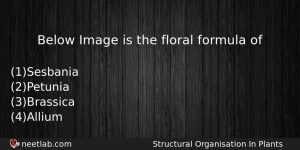 Below Image Is The Floral Formula Of Biology Question