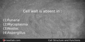 Cell Wall Is Absent In Biology Question