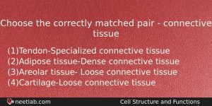 Choose The Correctly Matched Pair Connective Tissue Biology Question