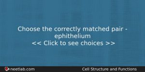 Choose The Correctly Matched Pair Ephithelium Biology Question