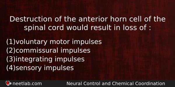 Destruction Of The Anterior Horn Cell Of The Spinal Cord Biology Question 
