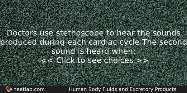 Doctors Use Stethoscope To Hear The Sounds Produced During Each Biology Question 