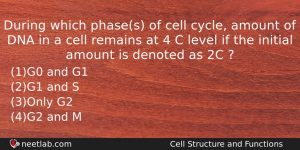 During Which Phases Of Cell Cycle Amount Of Dna In Biology Question