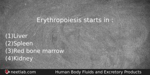 Erythropoiesis Starts In Biology Question