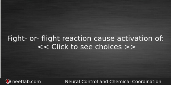Fight Or Flight Reaction Cause Activation Of Biology Question 