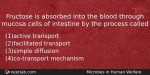 Fructose Is Absorbed Into The Blood Through Mucosa Cells Of Biology Question