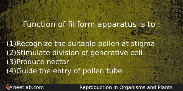 Function Of Filiform Apparatus Is To Biology Question 