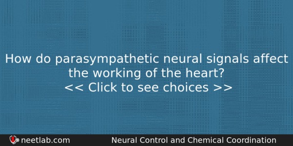 How Do Parasympathetic Neural Signals Affect The Working Of The Biology Question 