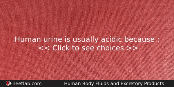Human Urine Is Usually Acidic Because Biology Question 