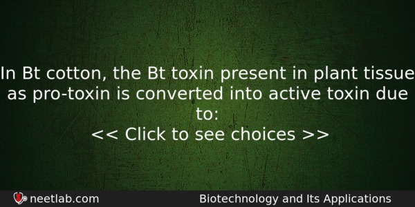 In Bt Cotton The Bt Toxin Present In Plant Tissue Biology Question 