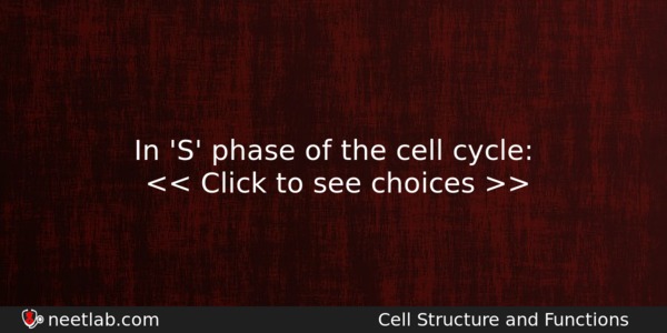 In S Phase Of The Cell Cycle Biology Question 