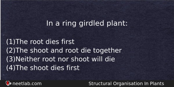 Consider the following statements regarding the fate of a ring girdled plant  and choose the most appropriate answer.