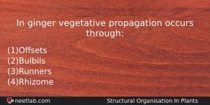 In Ginger Vegetative Propagation Occurs Through Biology Question