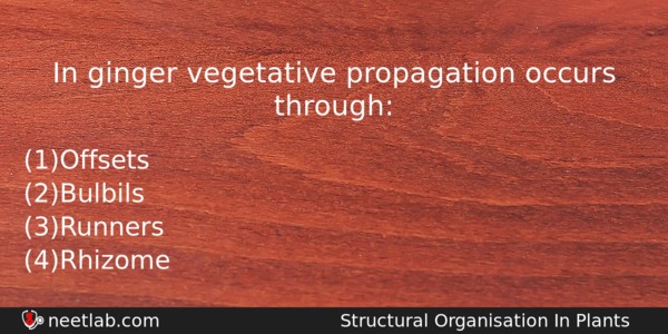 In Ginger Vegetative Propagation Occurs Through Biology Question 