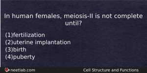 In Human Females Meiosisii Is Not Complete Until Biology Question