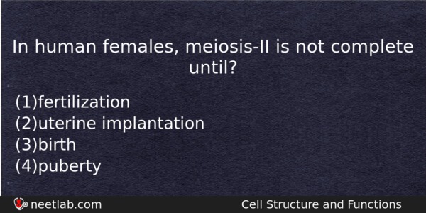 In Human Females Meiosisii Is Not Complete Until Biology Question 