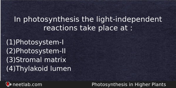 In Photosynthesis The Lightindependent Reactions Take Place At Biology Question 
